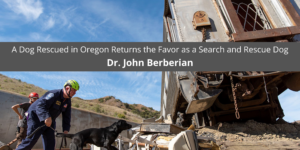 Dr. John Berberian: A Dog Rescued in Oregon Returns the Favor as a Search and Rescue Dog